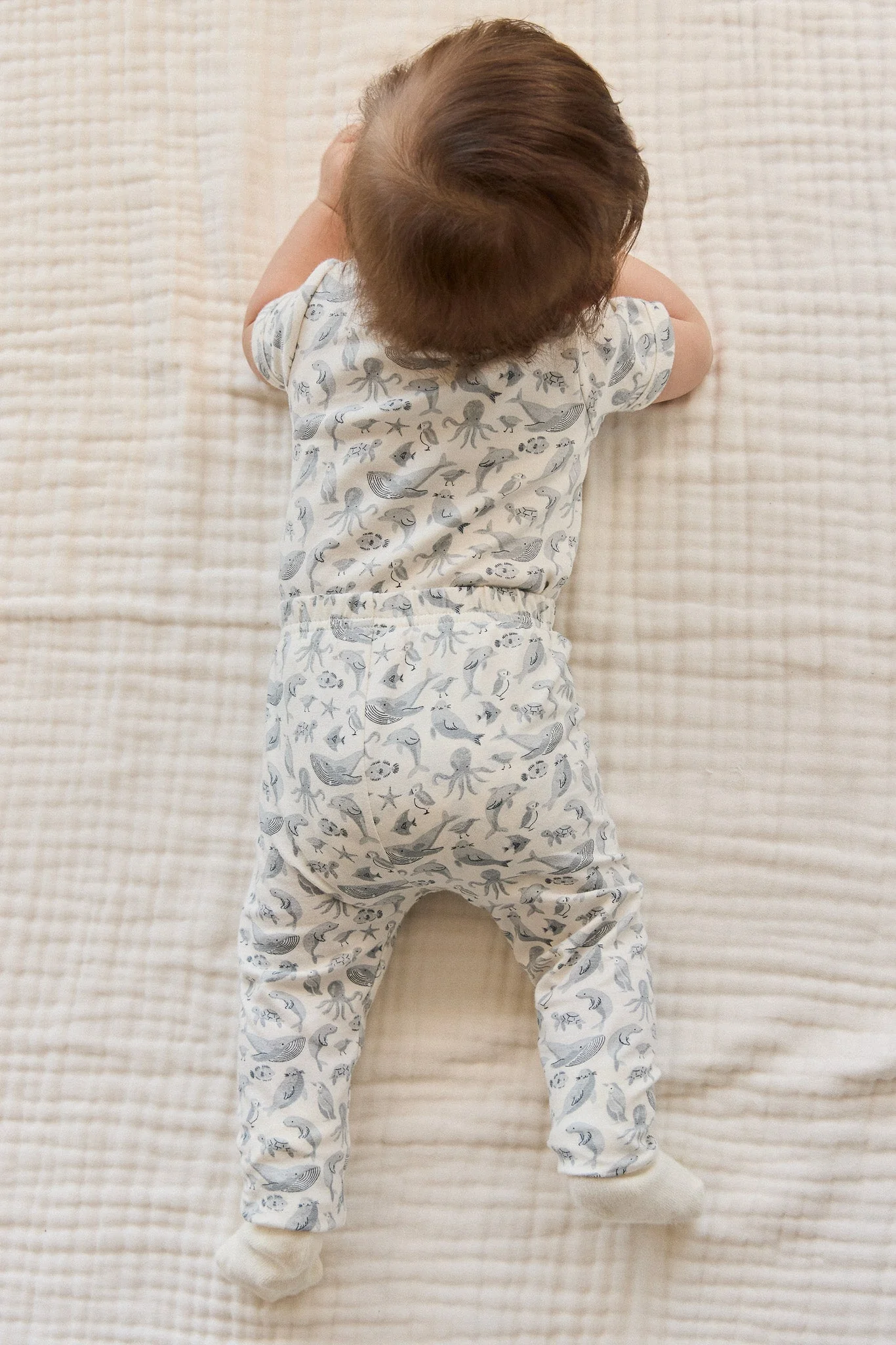 Organic Cotton Hudson Short Sleeve Bodysuit - Sea Life - Image 4
